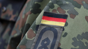 Bundestag stimmt mit gro&szlig;er Mehrheit f&uuml;r Veteranentag am 15. Juni