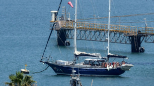 Bateau pour Gaza: Rima Hassan et les autres militants français retenus en Israël vont être expulsés