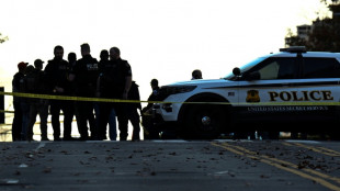 Mort d'une des militaires attaqu&eacute;s &agrave; Washington, les Etats-Unis r&eacute;examinent des milliers de "cartes vertes"