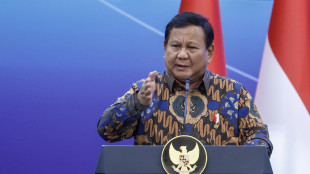 Indonesia, 'pronti a accogliere palestinesi di Gaza'