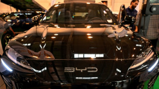 BYD 2025 voraussichtlich weltgr&ouml;&szlig;ter E-Autobauer - Tesla &uuml;berfl&uuml;gelt