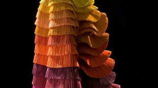 Il Pliss&egrave; nella moda sin dal Medio Neolitico