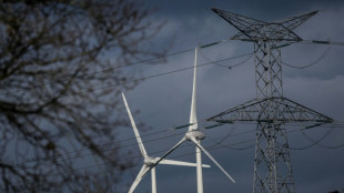 Eoliennes: l'UE lance une enquête antisubventions visant la Chine