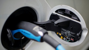 Bundesregierung einigt sich auf Absenkung von F&ouml;rderpr&auml;mie f&uuml;r Elektroautos