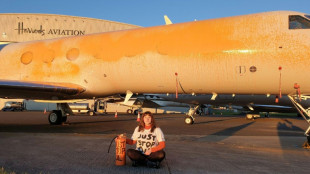 Prisión condicional para dos ecologistas que quisieron ensuciar un avión de Taylor Swift en Londres