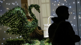 Tra Natale e la Befana per il turismo giro d'affari a 7 miliardi