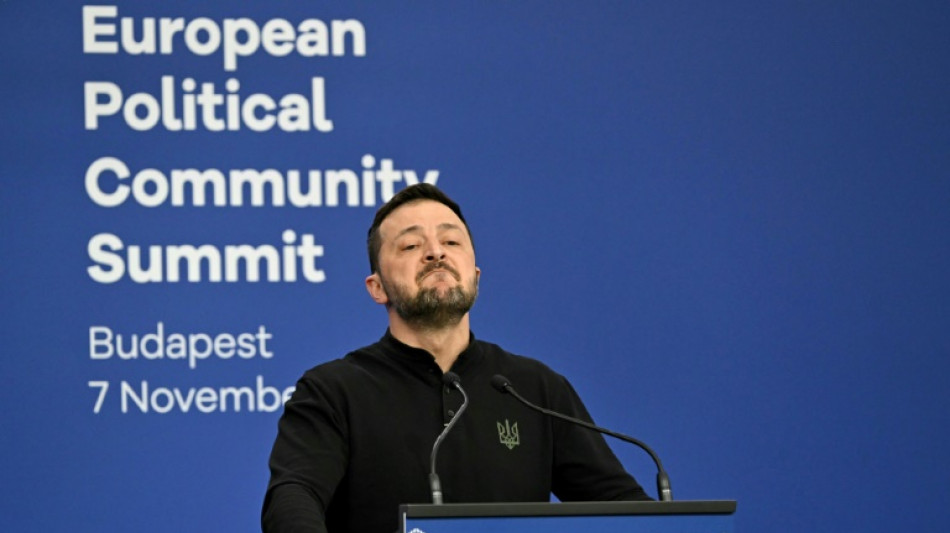 Zelensky quer o fim da guerra com a R&uacute;ssia em 2025 por 'meios diplom&aacute;ticos'
