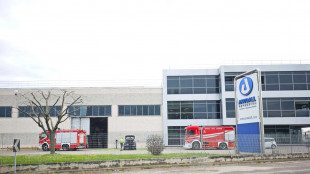 Operaio morto folgorato in azienda nel veronese