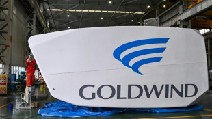 China calls EU 'discriminatory' over probe into energy giant Goldwind