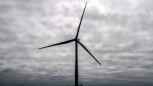 Weitere Offshore-Windparks in der Nordsee k&ouml;nnen geplant werden