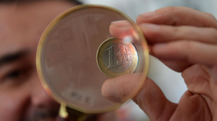 L'euro è in lieve calo, a 1,1452 sul dollaro