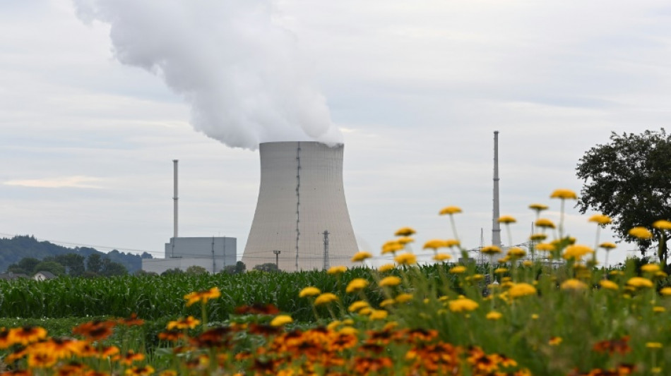 Ha&szlig;elmann erwartet schwierige Gespr&auml;che &uuml;ber Verl&auml;ngerung von Akw-Laufzeiten