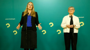 Gr&uuml;ne bleiben skeptisch bei Verhandlungen &uuml;ber Finanzpaket und fordern Aufsplittung