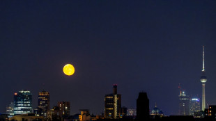 Neuer Nachtzug nach Berlin: European Sleeper kündigt Verbindung von Paris ab März an
