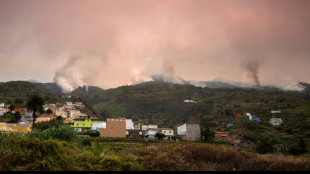 Feuerwehr kann bei Waldbrand auf Teneriffa H&auml;user vor Flammen sch&uuml;tzen