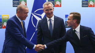 Erdogan lenkt im Beitrittsstreit mit Schweden ein