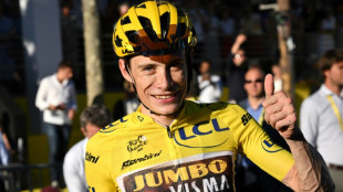 Tour de France: le roi Vingegaard, Jumbo imp&eacute;riale