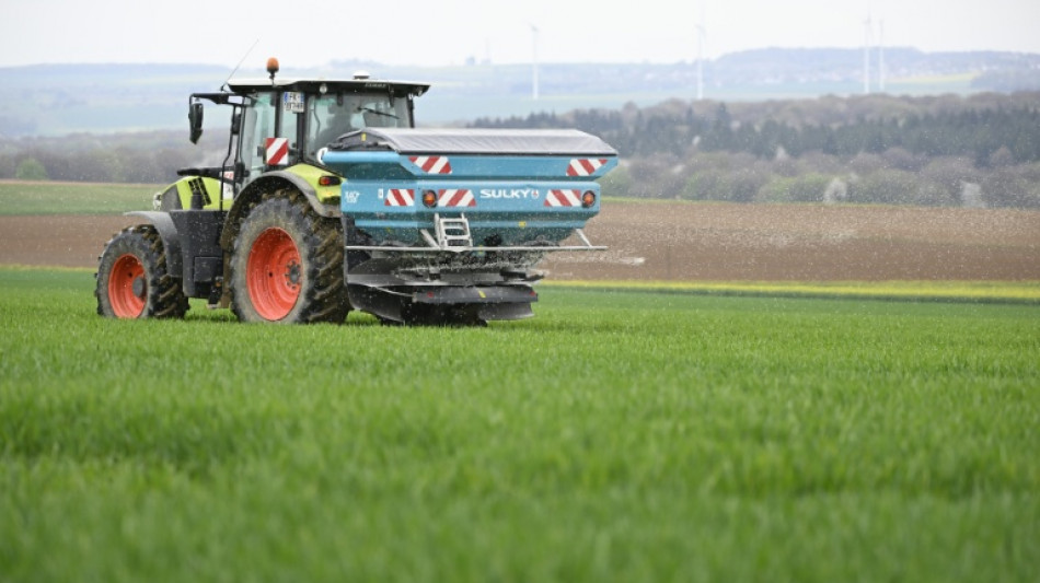 Loi d'urgence agricole: le S&eacute;nat rouvre le d&eacute;bat sur la r&eacute;introduction de pesticides interdits