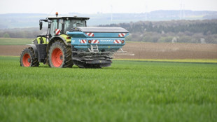 Loi d'urgence agricole: le S&eacute;nat rouvre le d&eacute;bat sur la r&eacute;introduction de pesticides interdits