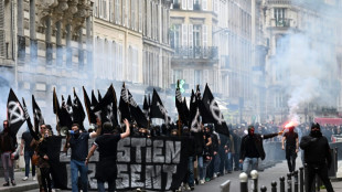 Paris police under fire over neo-Nazi rally