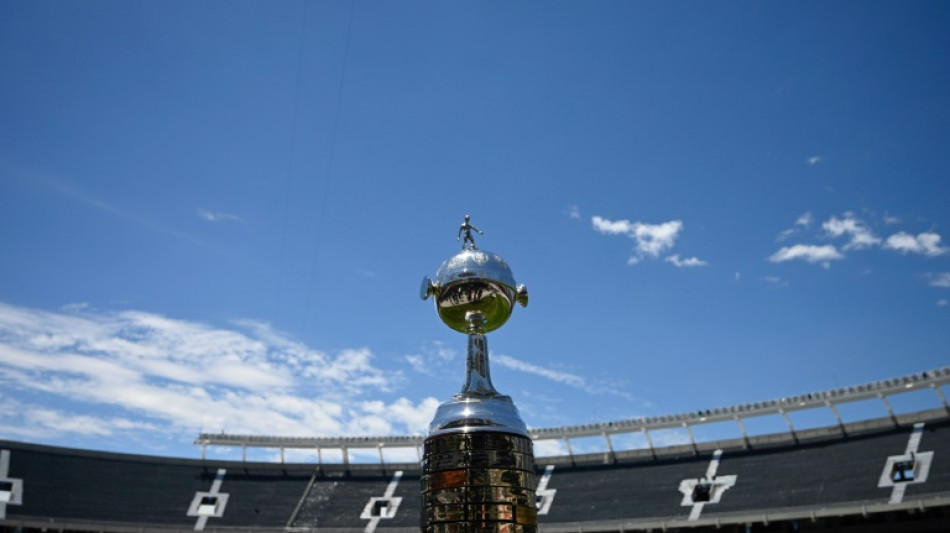 La suerte est&aacute; echada: Botafogo y Mineiro pugnan por la Libertadores