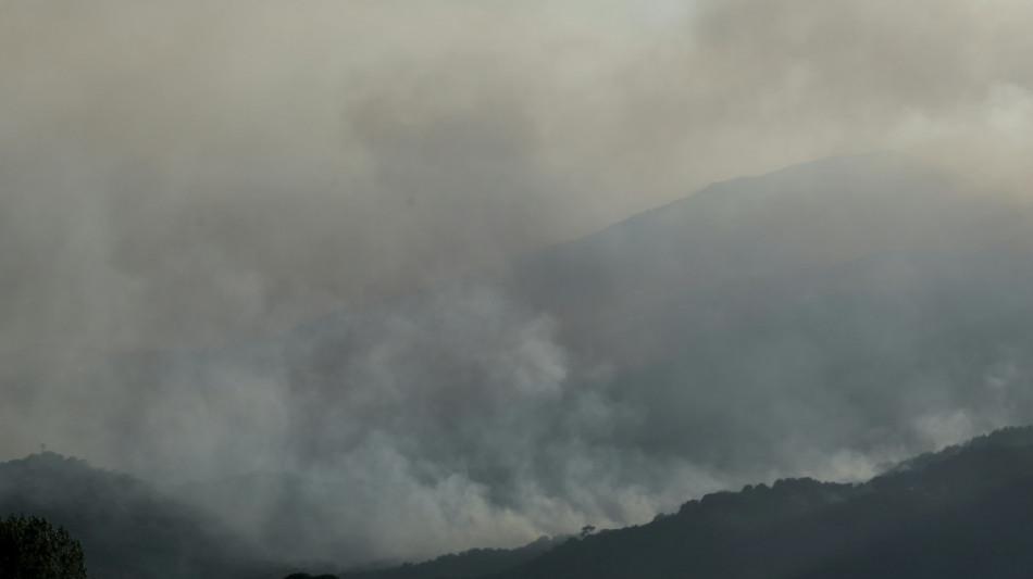 Los tres mayores incendios forestales en Espa&ntilde;a desde 1961 se produjeron en los &uacute;ltimos dos a&ntilde;os