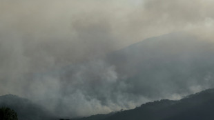Los tres mayores incendios forestales en Espa&ntilde;a desde 1961 se produjeron en los &uacute;ltimos dos a&ntilde;os