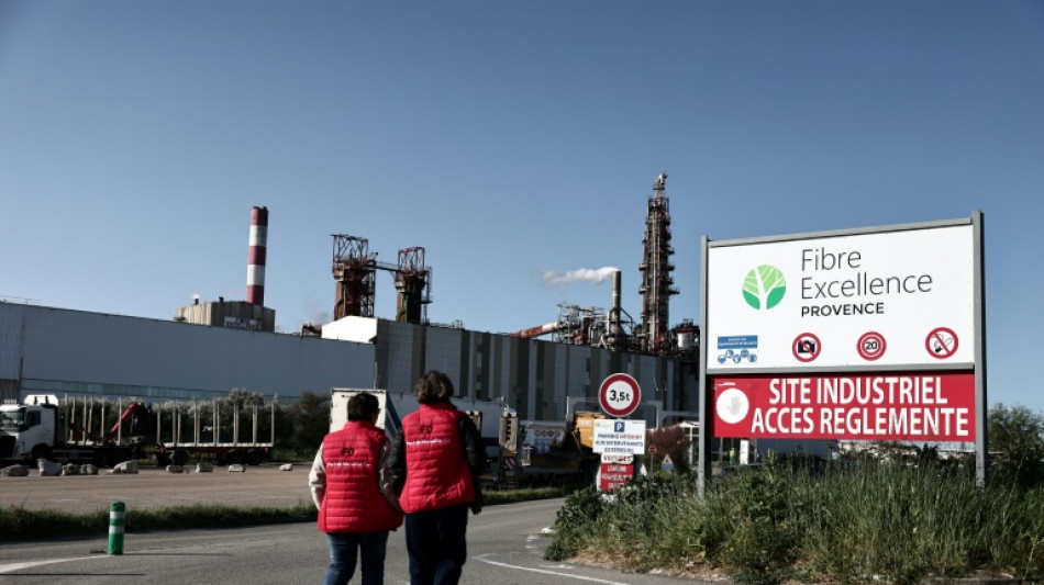 Fibre Excellence: le gouvernement &eacute;met des r&eacute;serves sur le projet de reprise 