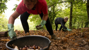 El PIB de España crece un 0,6 % en el tercer trimestre y mantiene su dinamismo