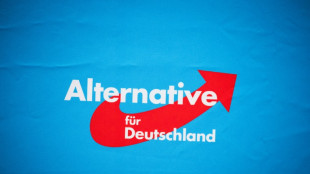 AfD will Anh&auml;nger regelm&auml;&szlig;ig zu "hei&szlig;em Herbst" auf die Stra&szlig;e rufen