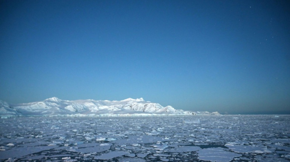 Antarctic sea ice improves after four years of extreme lows: US scientists