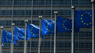 Corruption: Bruxelles maintient la pression financi&egrave;re sur la Hongrie