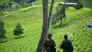 La principale dissidence des ex-FARC revendique la capture d'un Colombien de la L&eacute;gion &eacute;trang&egrave;re fran&ccedil;aise