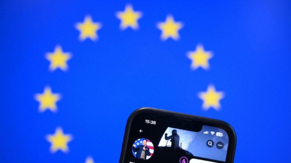 Face &agrave; Trump et Musk, les eurod&eacute;put&eacute;s cherchent un cap