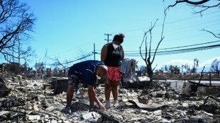 "On nous a dit que dalle !", déplorent les victimes de l'incendie à Hawaï