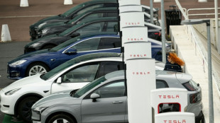 Les voitures &eacute;lectriques d&eacute;collent en France, mais le march&eacute; automobile reste en berne