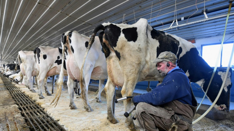 Prix agricoles garantis: les Etats-Unis et le Canada le font depuis des d&eacute;cennies
