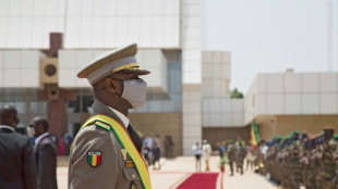 Mali, Burkina, Guin&eacute;e: l'Afrique de l'Ouest se penche sur les sanctions