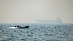 Blocage du d&eacute;troit d'Ormuz: quels sont les pays dont les bateaux sont les plus touch&eacute;s?