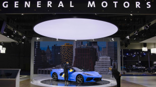 Gm affonda del 7,8% a Wall Street con i dazi, sale Tesla