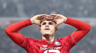 Newcastle sign Lille forward Fernandez-Pardo