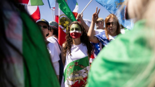 'The mullahs' team': Split loyalties for Iran fans at World Cup