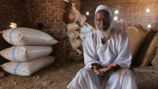 Au Soudan, p&eacute;nurie de bl&eacute; mais les agriculteurs peinent &agrave; &eacute;couler leurs r&eacute;coltes 