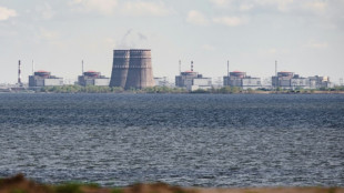 Anhaltende Angriffe auf Umgebung des ukrainischen Akw Saporischschja l&ouml;sen Besorgnis aus