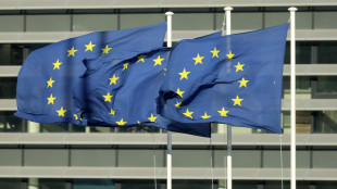 Ue, 'tassa sulle reti per le Big Tech non &egrave; praticabile'