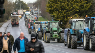 Landwirte in Frankreich und Irland protestieren gegen Mercosur-Handelsabkommen
