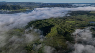 El frente para acabar con las energ&iacute;as f&oacute;siles resurge en la COP30