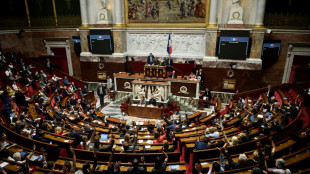 Pouvoir d'achat: d&eacute;nouement imminent au Parlement