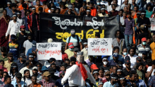 Sri Lanka: le Parlement a commenc&eacute; &agrave; voter pour remplacer le pr&eacute;sident d&eacute;chu