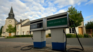 Dotation de 50 millions pour les communes rurales, aide sp&eacute;cifique aux stations-service, annonce Lecornu 